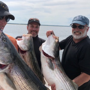 Stripers at ASHP!